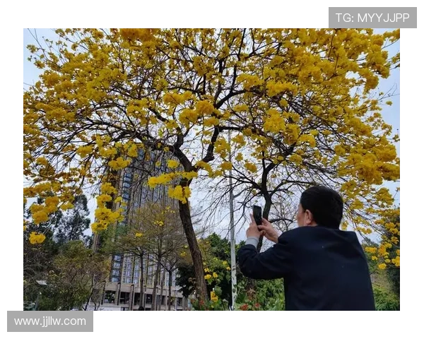 广东半场打花广州强势拿赛点